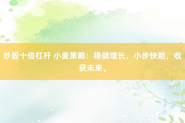 炒股十倍杠杆 小麦策略：稳健增长，小步快跑，收获未来。