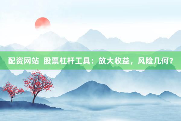 配资网站  股票杠杆工具：放大收益，风险几何？