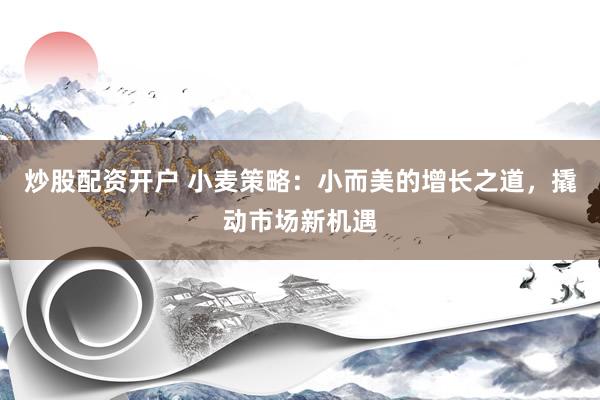 炒股配资开户 小麦策略：小而美的增长之道，撬动市场新机遇