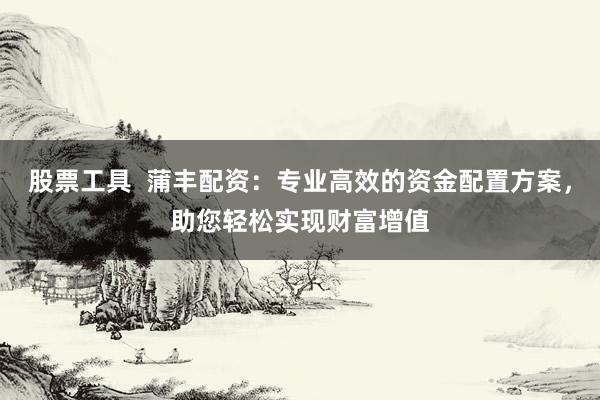 股票工具  蒲丰配资：专业高效的资金配置方案，助您轻松实现财富增值