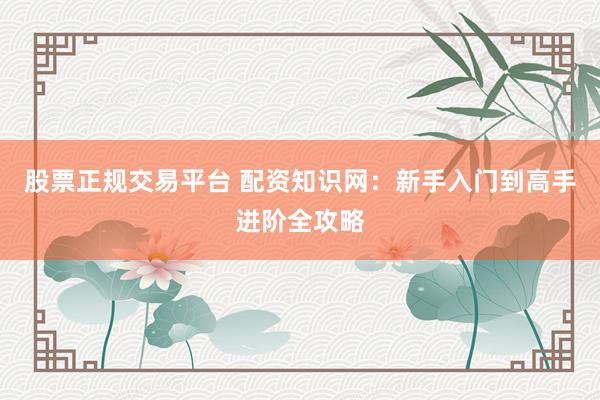 股票正规交易平台 配资知识网：新手入门到高手进阶全攻略