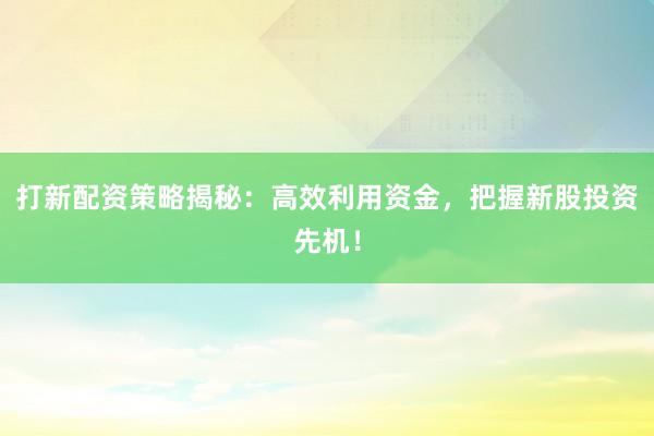 打新配资策略揭秘：高效利用资金，把握新股投资先机！