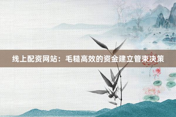 线上配资网站：毛糙高效的资金建立管束决策