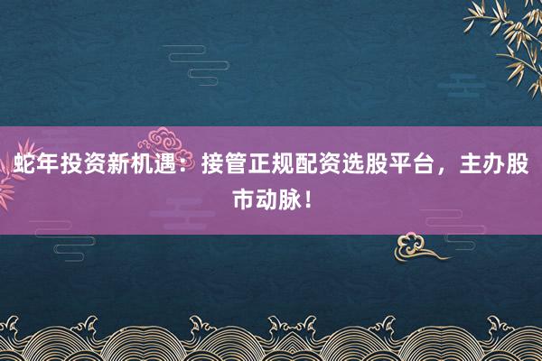 蛇年投资新机遇：接管正规配资选股平台，主办股市动脉！