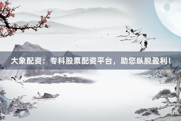 大象配资：专科股票配资平台，助您纵脱盈利！