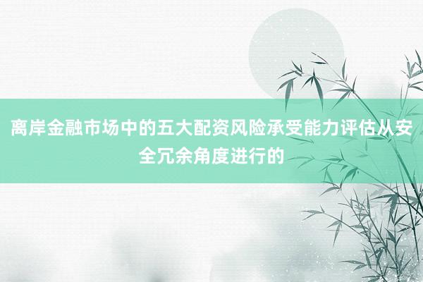 离岸金融市场中的五大配资风险承受能力评估从安全冗余角度进行的