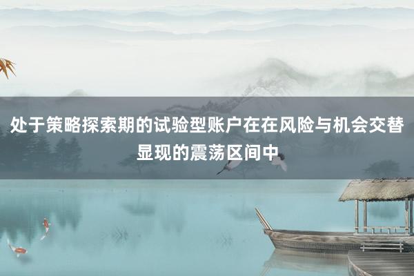 处于策略探索期的试验型账户在在风险与机会交替显现的震荡区间中