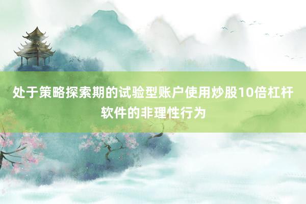 处于策略探索期的试验型账户使用炒股10倍杠杆软件的非理性行为