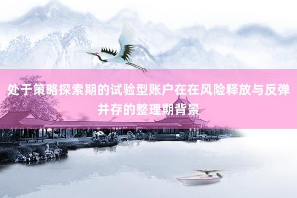 处于策略探索期的试验型账户在在风险释放与反弹并存的整理期背景