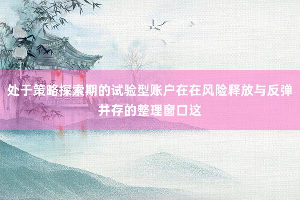 处于策略探索期的试验型账户在在风险释放与反弹并存的整理窗口这