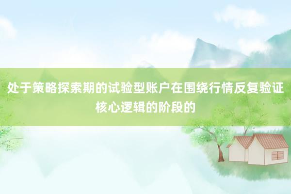 处于策略探索期的试验型账户在围绕行情反复验证核心逻辑的阶段的