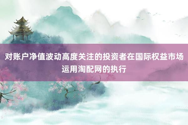 对账户净值波动高度关注的投资者在国际权益市场运用淘配网的执行