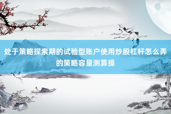 处于策略探索期的试验型账户使用炒股杠杆怎么弄的策略容量测算操