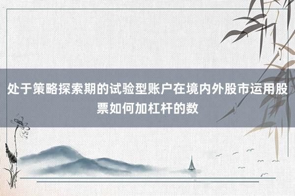 处于策略探索期的试验型账户在境内外股市运用股票如何加杠杆的数