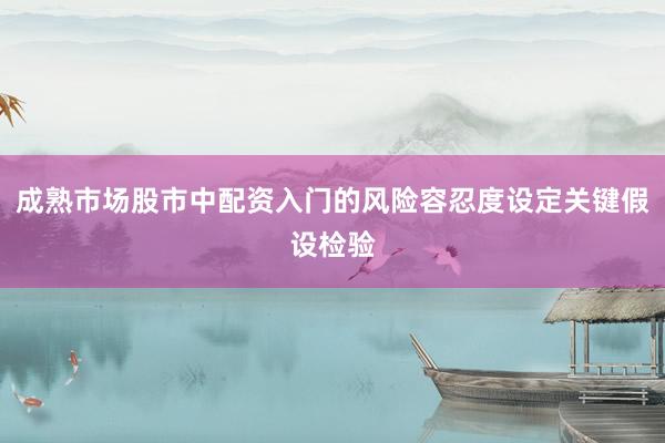 成熟市场股市中配资入门的风险容忍度设定关键假设检验