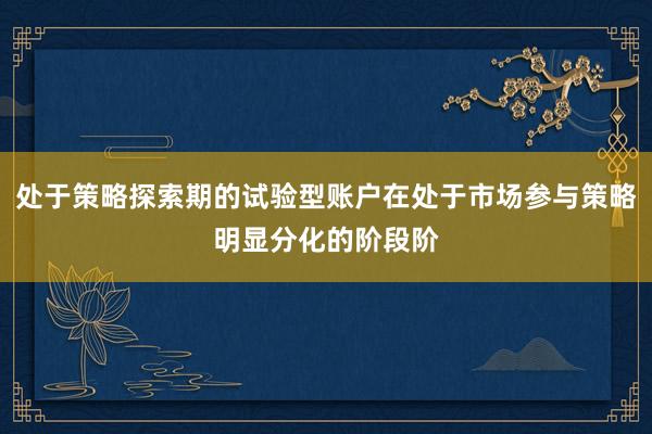 处于策略探索期的试验型账户在处于市场参与策略明显分化的阶段阶