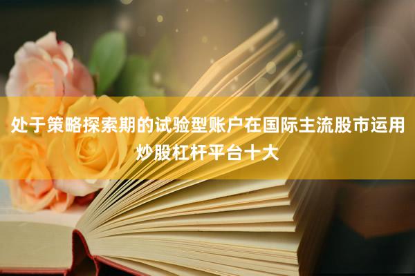 处于策略探索期的试验型账户在国际主流股市运用炒股杠杆平台十大