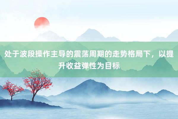 处于波段操作主导的震荡周期的走势格局下，以提升收益弹性为目标