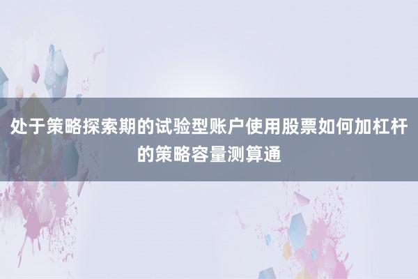 处于策略探索期的试验型账户使用股票如何加杠杆的策略容量测算通