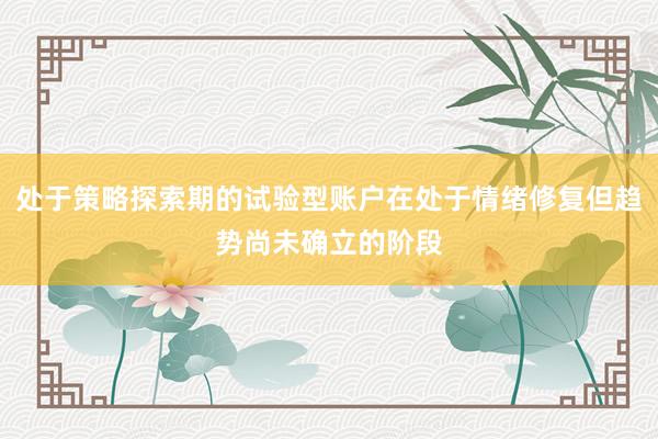 处于策略探索期的试验型账户在处于情绪修复但趋势尚未确立的阶段