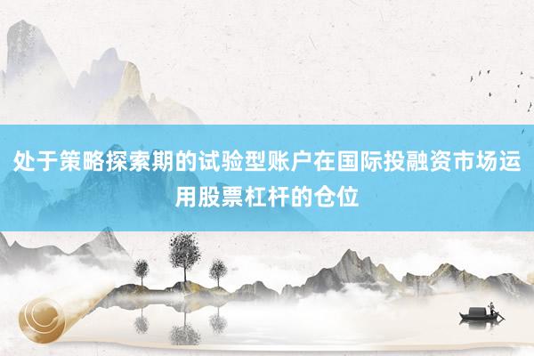 处于策略探索期的试验型账户在国际投融资市场运用股票杠杆的仓位