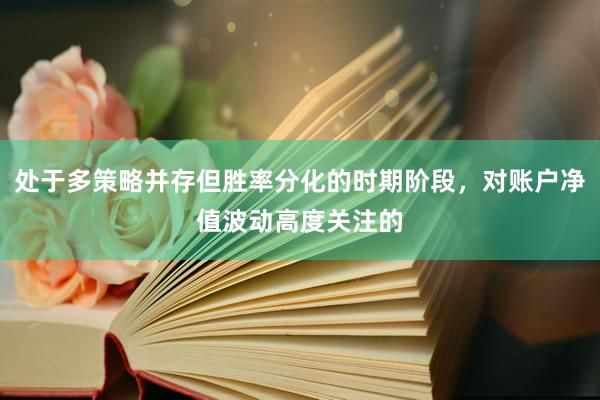 处于多策略并存但胜率分化的时期阶段，对账户净值波动高度关注的