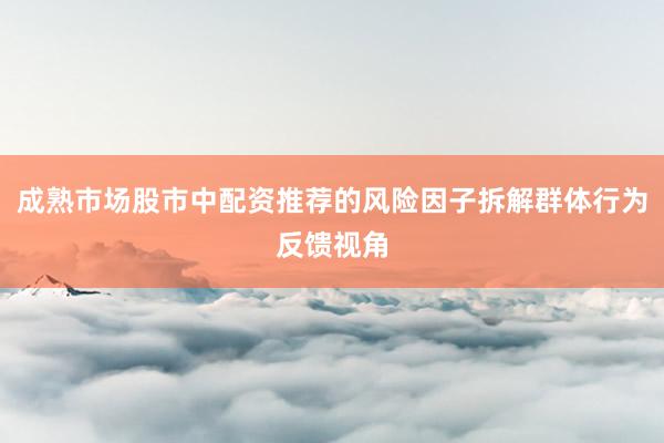 成熟市场股市中配资推荐的风险因子拆解群体行为反馈视角