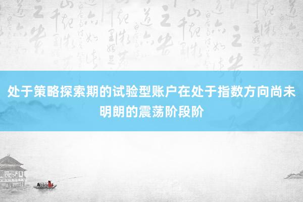 处于策略探索期的试验型账户在处于指数方向尚未明朗的震荡阶段阶