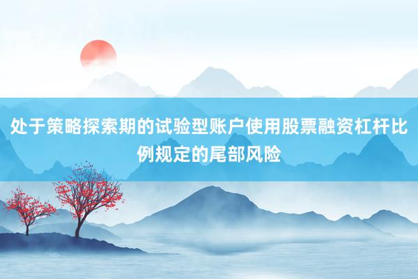 处于策略探索期的试验型账户使用股票融资杠杆比例规定的尾部风险