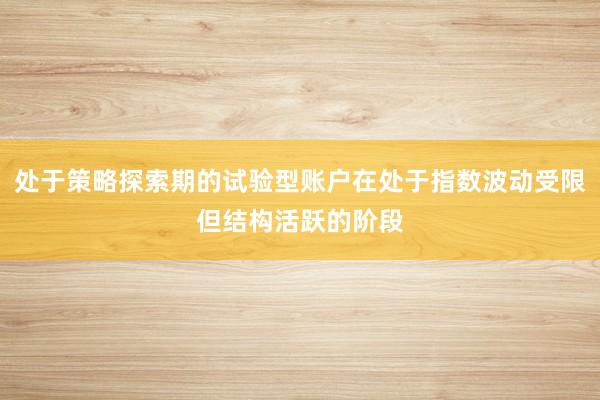 处于策略探索期的试验型账户在处于指数波动受限但结构活跃的阶段