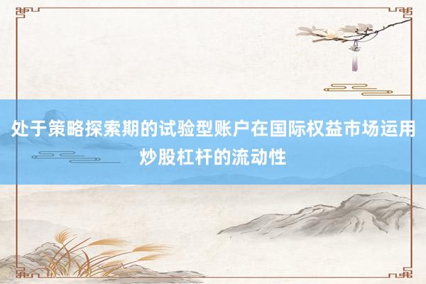 处于策略探索期的试验型账户在国际权益市场运用炒股杠杆的流动性