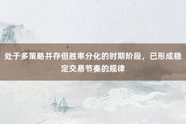 处于多策略并存但胜率分化的时期阶段，已形成稳定交易节奏的规律