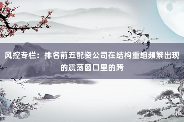 风控专栏：排名前五配资公司在结构重组频繁出现的震荡窗口里的跨
