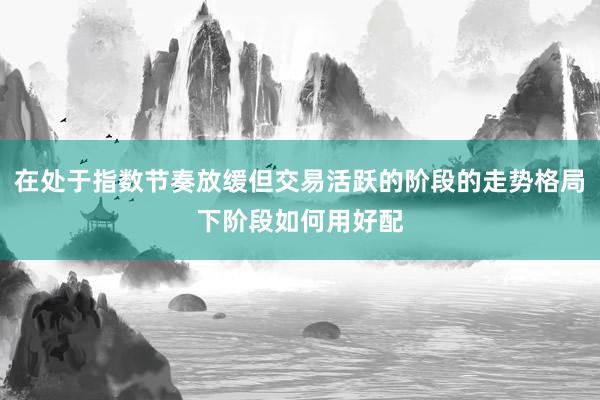 在处于指数节奏放缓但交易活跃的阶段的走势格局下阶段如何用好配