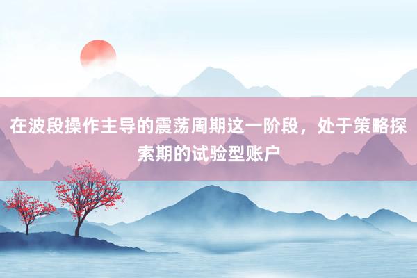 在波段操作主导的震荡周期这一阶段，处于策略探索期的试验型账户