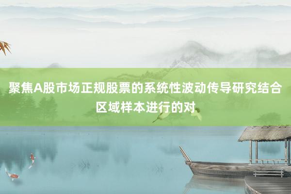 聚焦A股市场正规股票的系统性波动传导研究结合区域样本进行的对