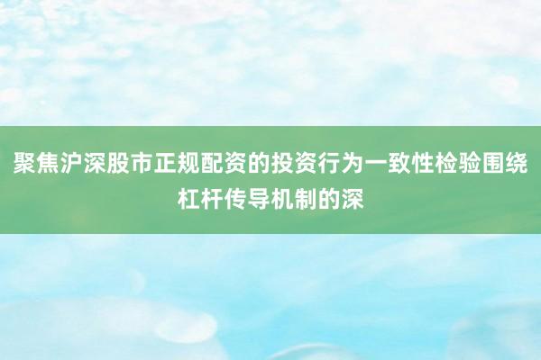 聚焦沪深股市正规配资的投资行为一致性检验围绕杠杆传导机制的深