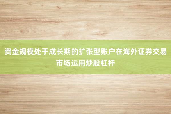 资金规模处于成长期的扩张型账户在海外证券交易市场运用炒股杠杆