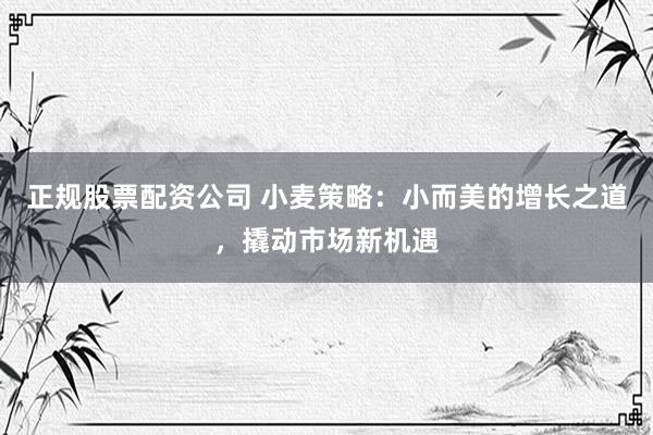 正规股票配资公司 小麦策略：小而美的增长之道，撬动市场新机遇