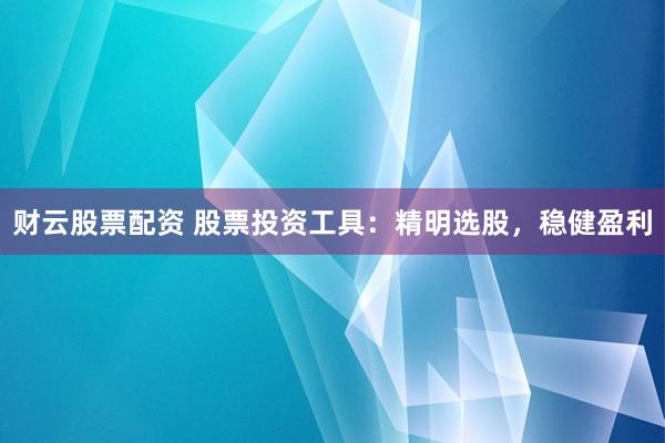 财云股票配资 股票投资工具：精明选股，稳健盈利