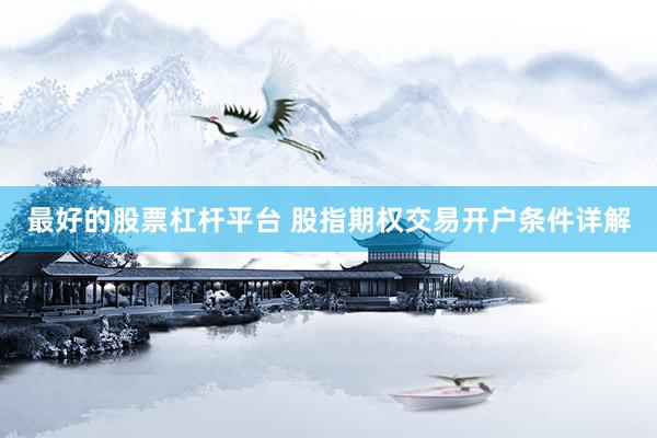 最好的股票杠杆平台 股指期权交易开户条件详解